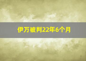 伊万被判22年6个月