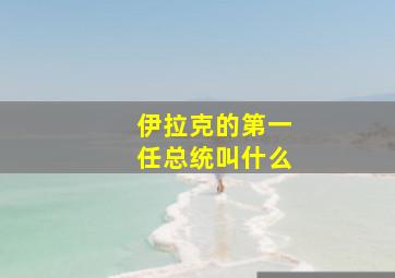 伊拉克的第一任总统叫什么