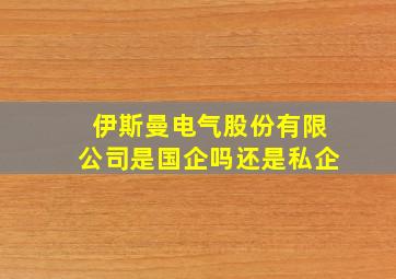 伊斯曼电气股份有限公司是国企吗还是私企