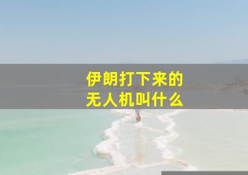 伊朗打下来的无人机叫什么