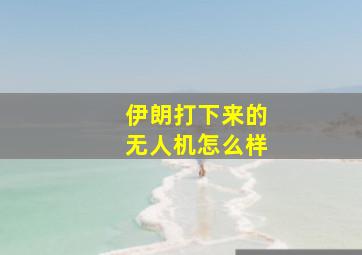 伊朗打下来的无人机怎么样