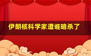 伊朗核科学家遭谁暗杀了