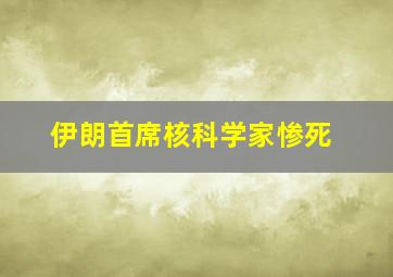 伊朗首席核科学家惨死