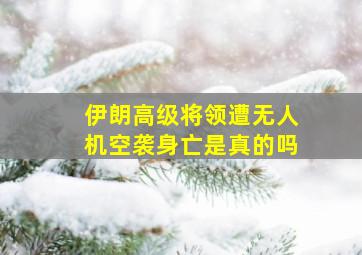 伊朗高级将领遭无人机空袭身亡是真的吗