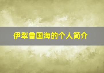 伊犁鲁国海的个人简介