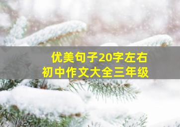 优美句子20字左右初中作文大全三年级