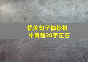 优美句子摘抄初中简短20字左右