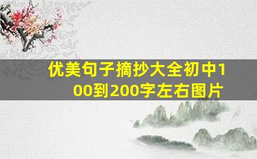 优美句子摘抄大全初中100到200字左右图片