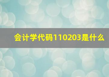 会计学代码110203是什么