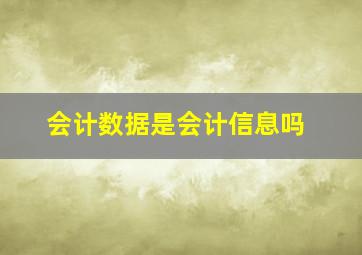 会计数据是会计信息吗