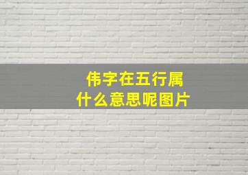 伟字在五行属什么意思呢图片