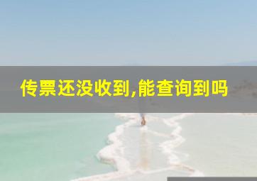 传票还没收到,能查询到吗