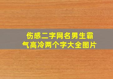 伤感二字网名男生霸气高冷两个字大全图片