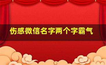 伤感微信名字两个字霸气