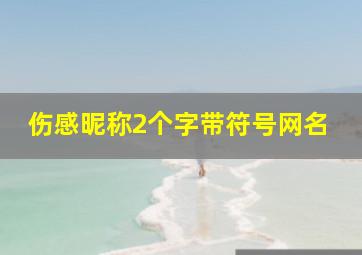 伤感昵称2个字带符号网名