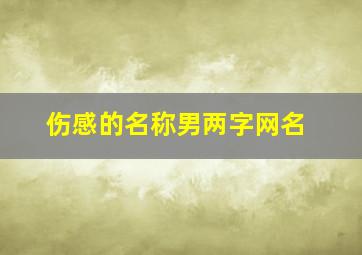 伤感的名称男两字网名