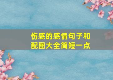 伤感的感情句子和配图大全简短一点