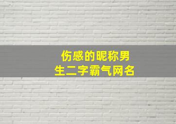 伤感的昵称男生二字霸气网名