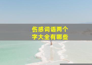 伤感词语两个字大全有哪些