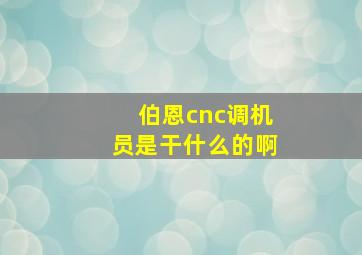 伯恩cnc调机员是干什么的啊