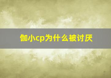 伽小cp为什么被讨厌