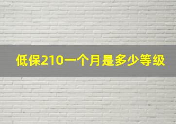 低保210一个月是多少等级