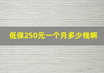 低保250元一个月多少钱啊