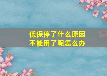 低保停了什么原因不能用了呢怎么办