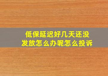 低保延迟好几天还没发放怎么办呢怎么投诉