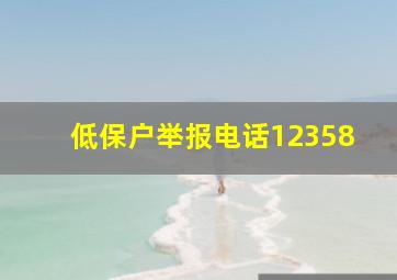 低保户举报电话12358