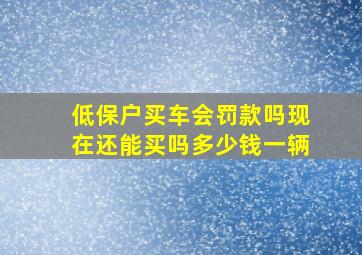 低保户买车会罚款吗现在还能买吗多少钱一辆