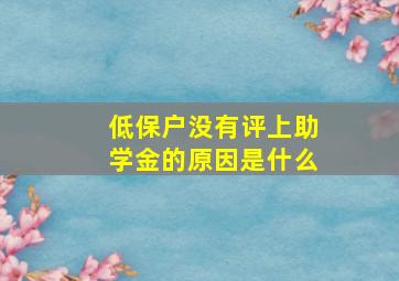 低保户没有评上助学金的原因是什么