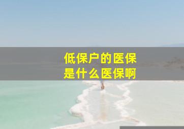 低保户的医保是什么医保啊