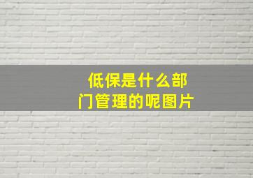 低保是什么部门管理的呢图片