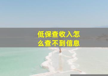 低保查收入怎么查不到信息