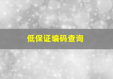 低保证编码查询