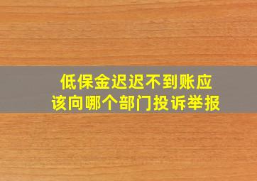 低保金迟迟不到账应该向哪个部门投诉举报