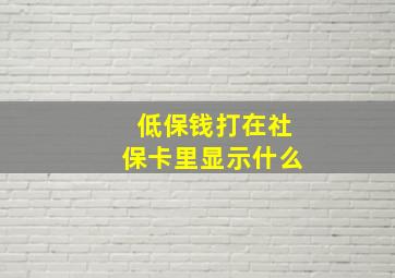 低保钱打在社保卡里显示什么