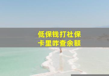 低保钱打社保卡里咋查余额