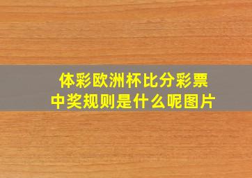 体彩欧洲杯比分彩票中奖规则是什么呢图片