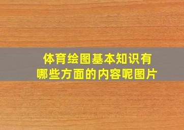 体育绘图基本知识有哪些方面的内容呢图片