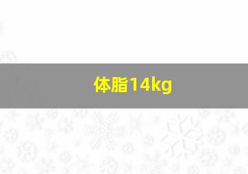 体脂14kg