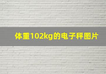 体重102kg的电子秤图片