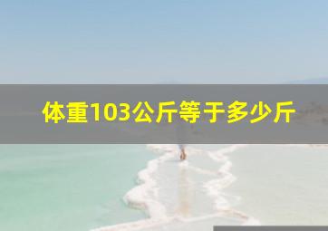 体重103公斤等于多少斤