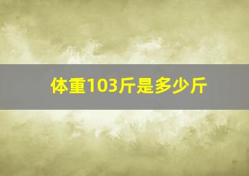 体重103斤是多少斤