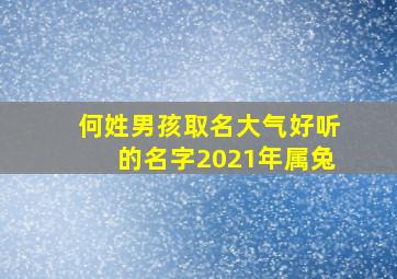 何姓男孩取名大气好听的名字2021年属兔