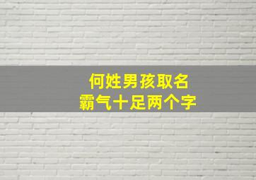 何姓男孩取名霸气十足两个字