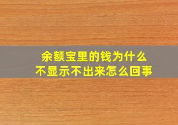 余额宝里的钱为什么不显示不出来怎么回事