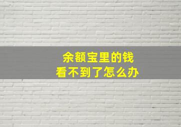 余额宝里的钱看不到了怎么办