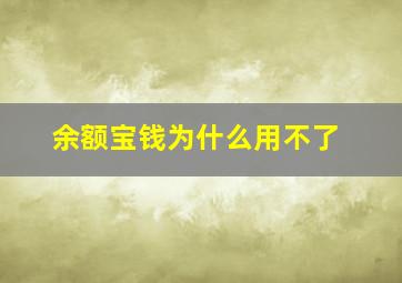 余额宝钱为什么用不了